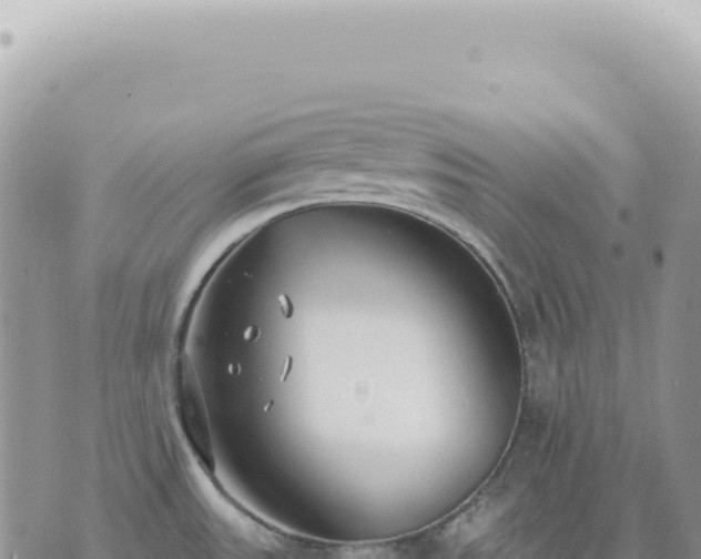 X0000073711531200608101826