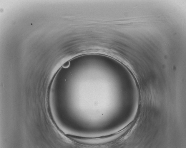 X0000073711533200608101826