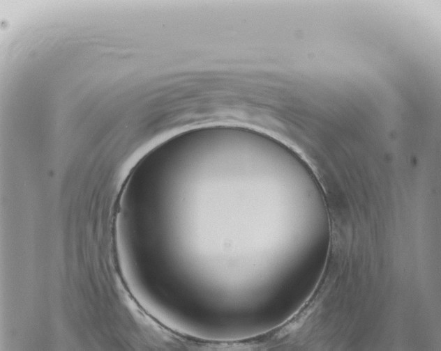 X0000073711534200608101826