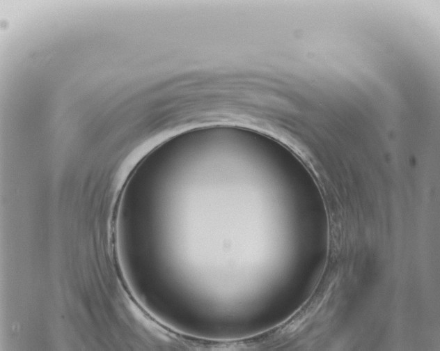 X0000073711535200608101826