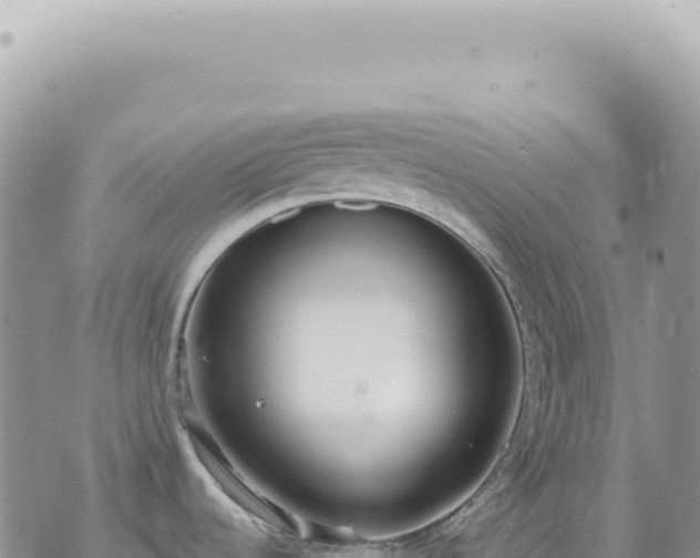 X0000073711536200608101826