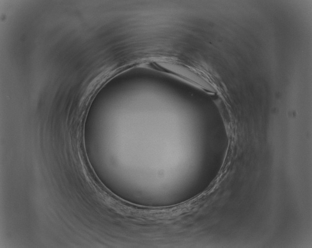 X0000073710001200608171150