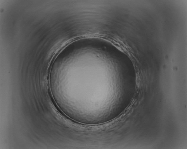 X0000073710002200608171150