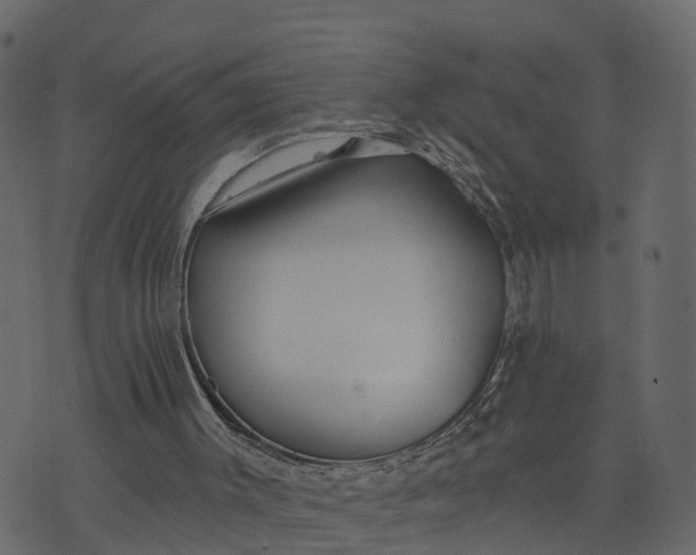 X0000073710003200608171150