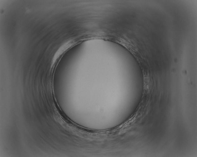 X0000073710004200608171150