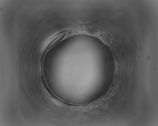 X0000073710005200608171150