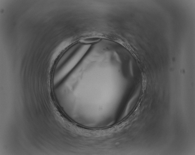 X0000073710006200608171150