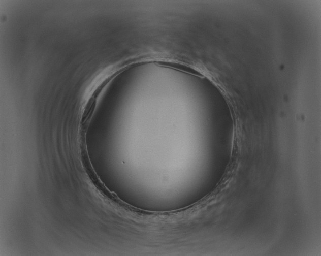 X0000073710007200608171150