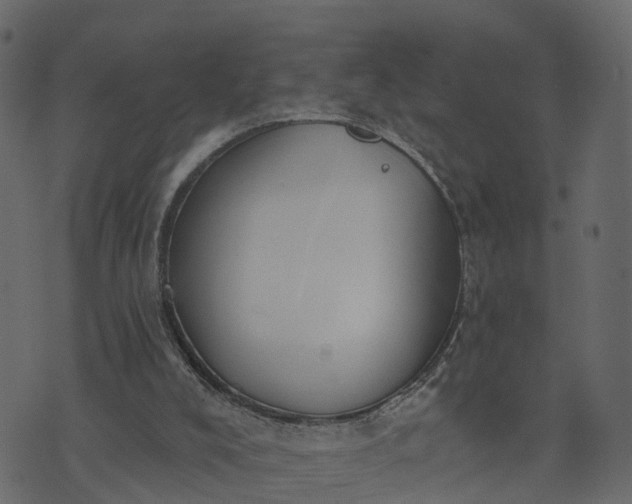 X0000073710008200608171150