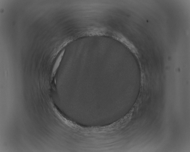 X0000073710009200608171150