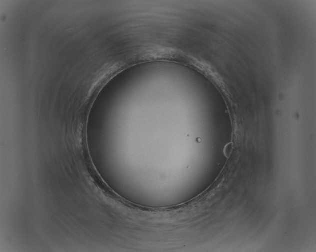 X0000073710010200608171150