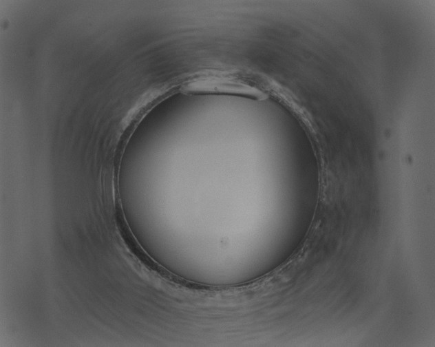 X0000073710011200608171150