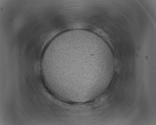 X0000073710012200608171150