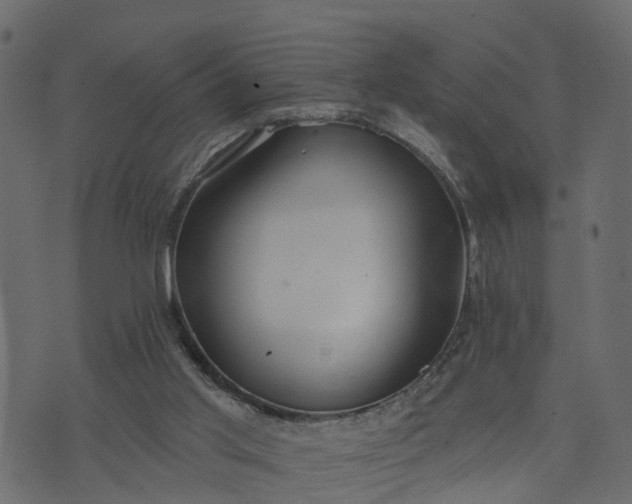 X0000073710013200608171150