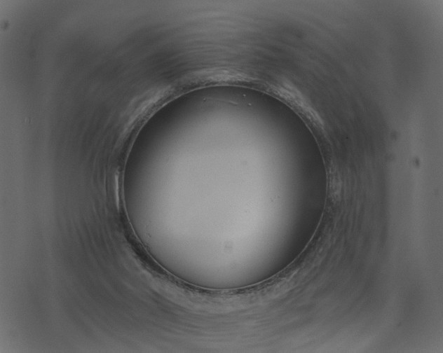 X0000073710014200608171149