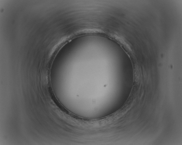 X0000073710015200608171149