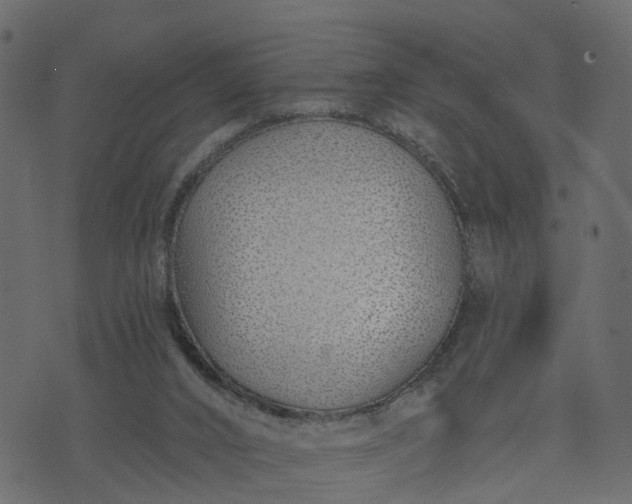 X0000073710016200608171149