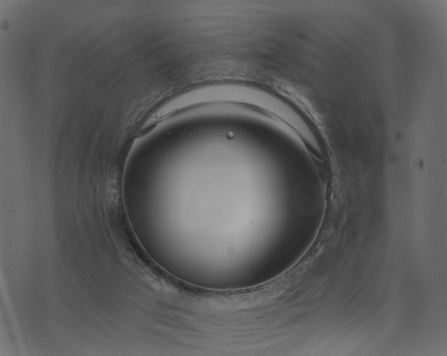 X0000073710017200608171149