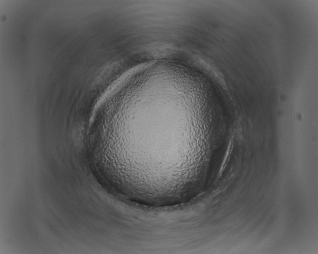 X0000073710018200608171149