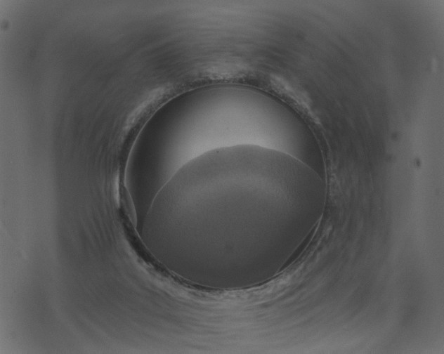 X0000073710019200608171149