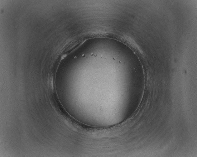 X0000073710021200608171149