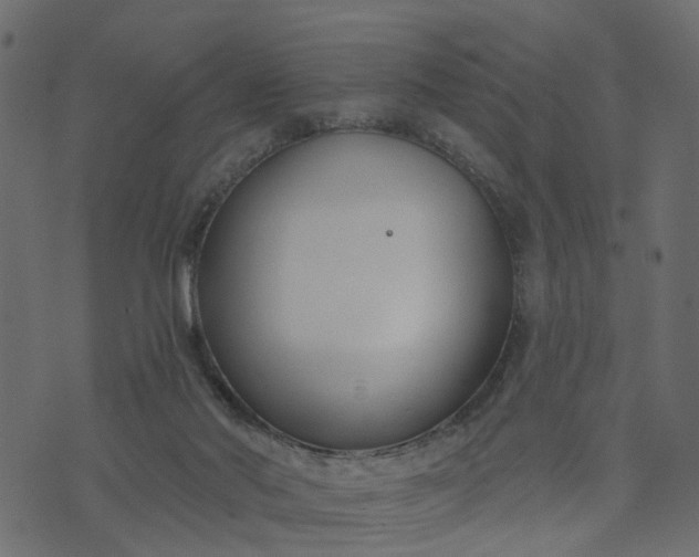 X0000073710022200608171149