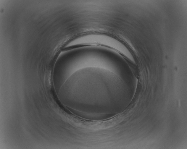 X0000073710023200608171149