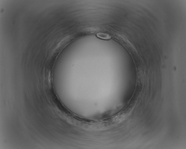 X0000073710024200608171149