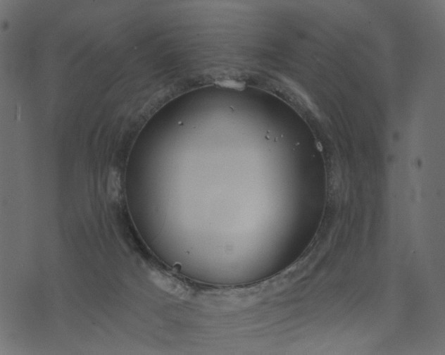 X0000073710025200608171149