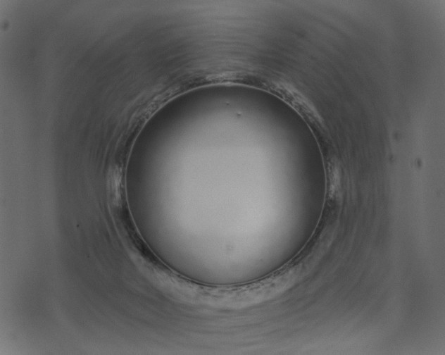 X0000073710026200608171149