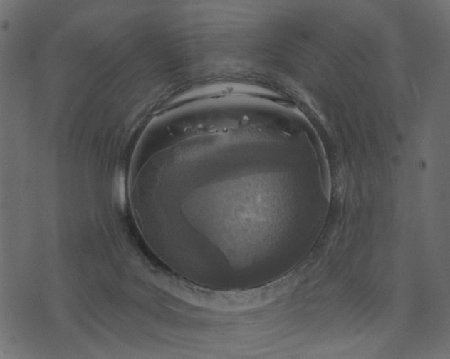 X0000073710027200608171149