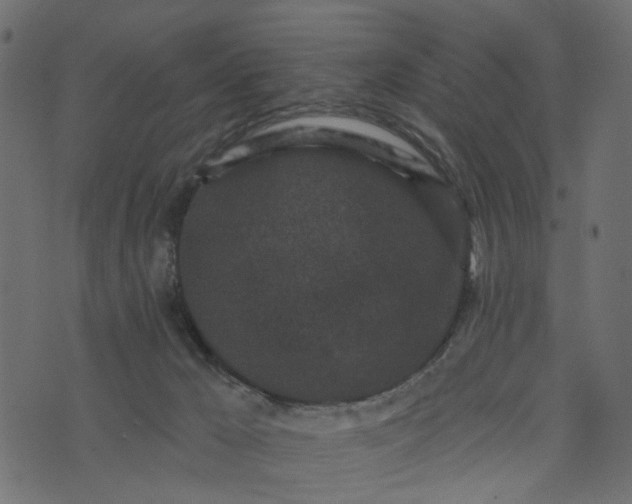 X0000073710029200608171149