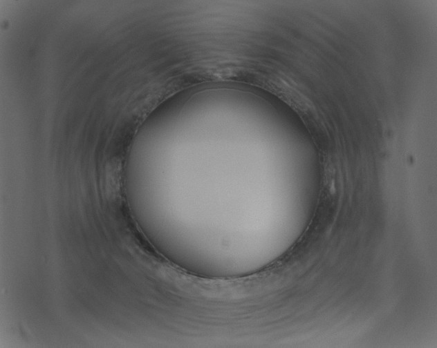 X0000073710030200608171149