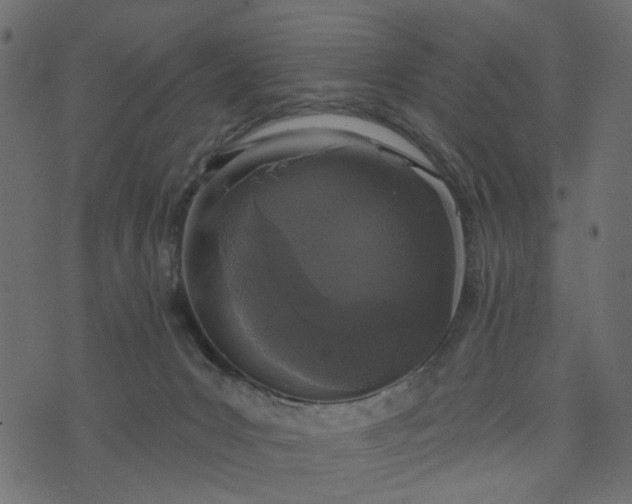 X0000073710031200608171149