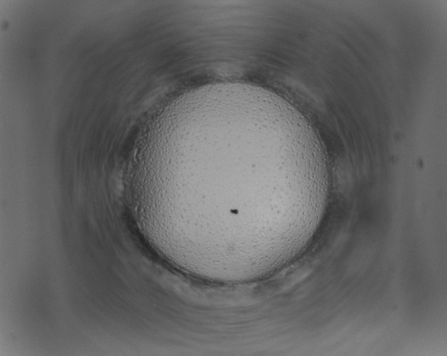 X0000073710032200608171149