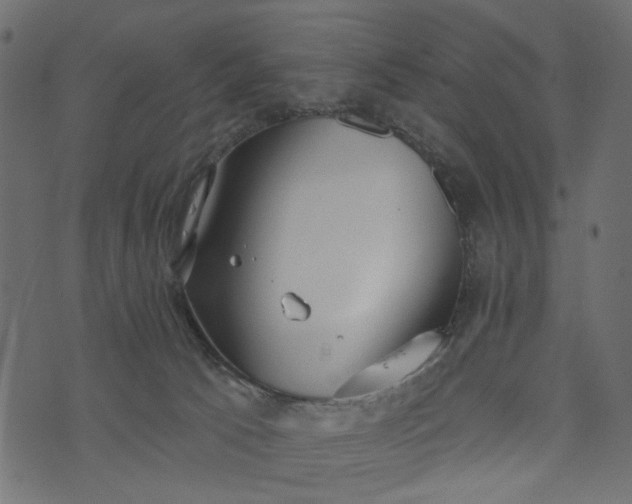 X0000073710033200608171149