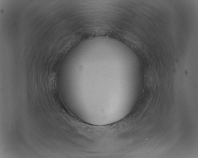 X0000073710034200608171149