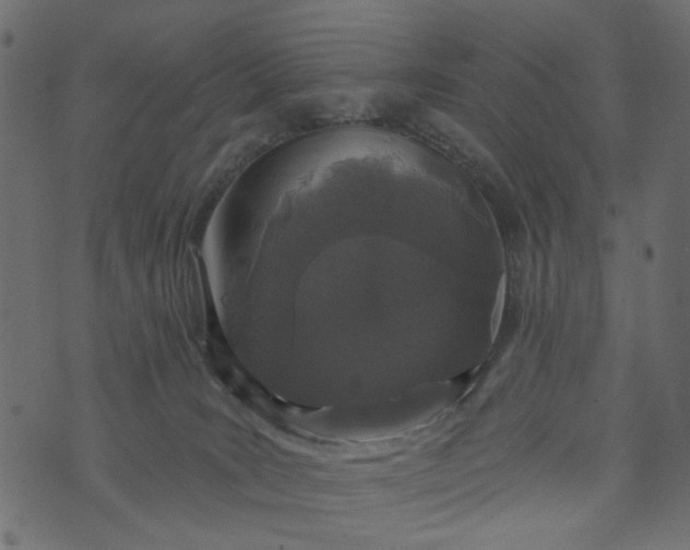 X0000073710035200608171149