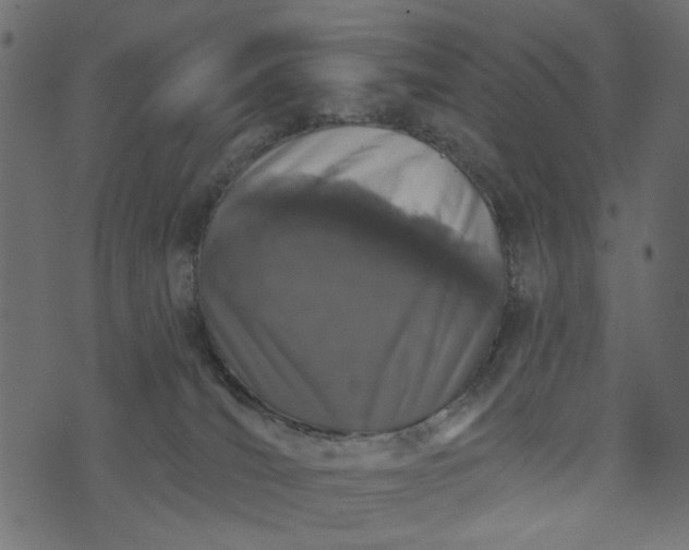 X0000073710036200608171149