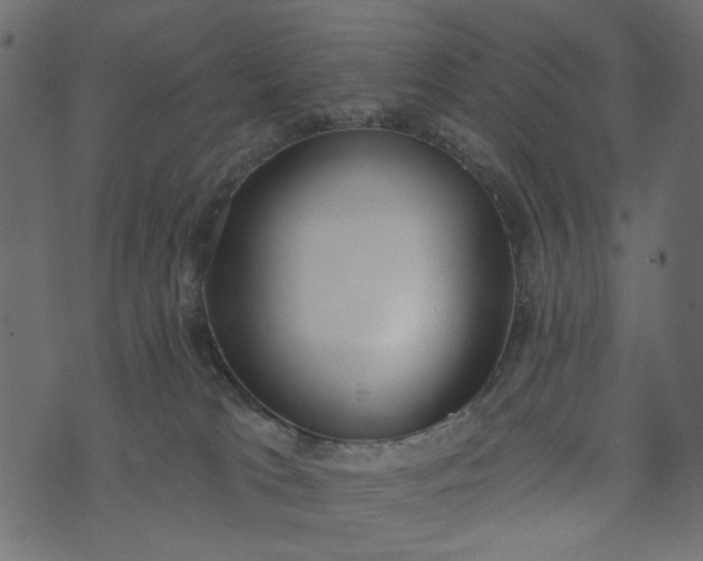 X0000073710037200608171149