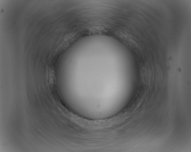 X0000073710038200608171149