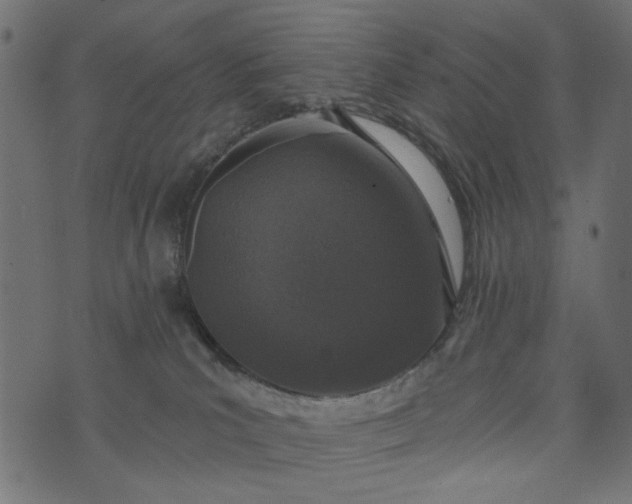 X0000073710039200608171149