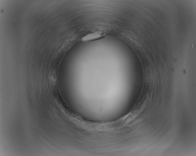 X0000073710040200608171149