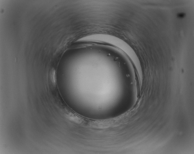 X0000073710041200608171149