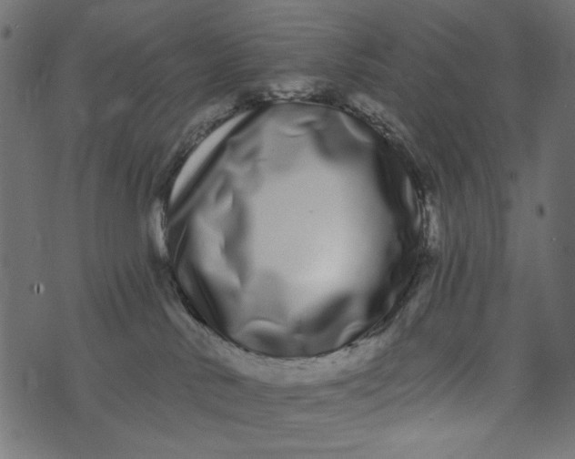 X0000073710042200608171149