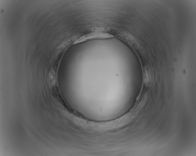 X0000073710043200608171149