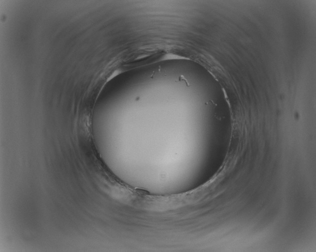 X0000073710045200608171149