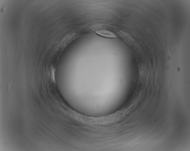 X0000073710046200608171149