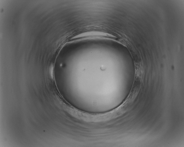 X0000073710047200608171149