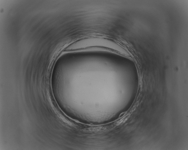 X0000073710049200608171148